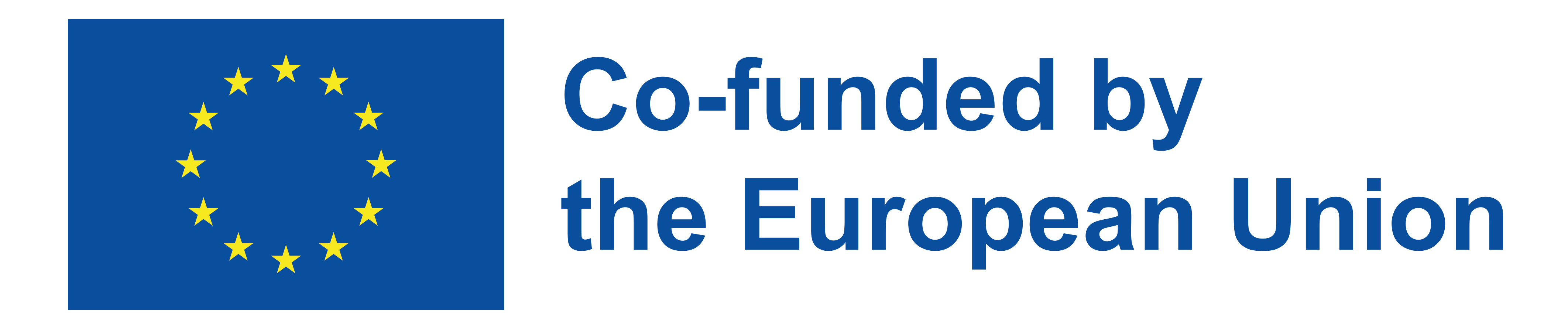 European Union Logo
